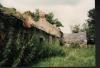 One of the Ruined Griffin Houses in Knocknaboley, 1989