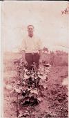 William Carl photographed in a Cotton Patch about 1923.